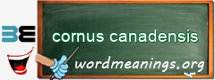 WordMeaning blackboard for cornus canadensis